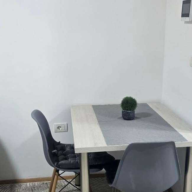 Гарсоњера во Центар - 3